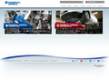 Federal Mogul
