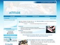 Attitude